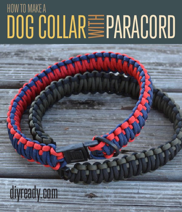 Colored Paracord Dog Collar | Awesome Paracord Projects For Preppers