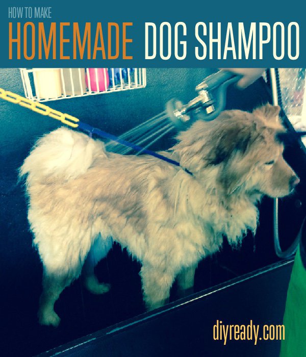 How to Make Homemade Dog Shampoo