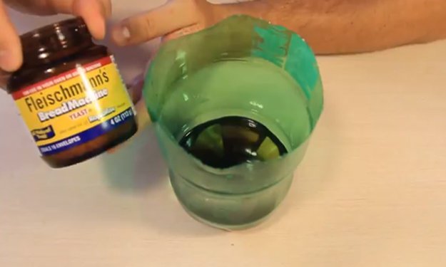 How to Make a Simple Homemade Mosquito Trap With Cut Bottles