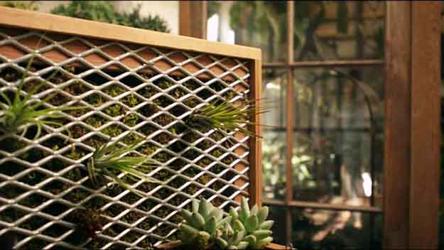 DIY Vertical Garden Kit | DIY Vertical Gardening Projects For Small Space Gardening | vertical gardening ideas