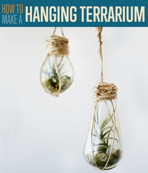 How to make | Hanging Terrarium with light bulbs