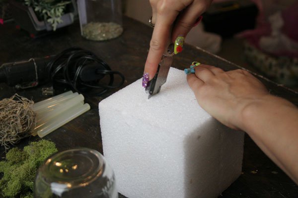 Mason Jar Craft Ideas | How To Make A Terrarium