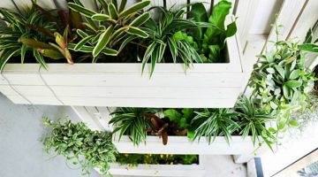 Feature | DIY Vertical Gardening Projects For Small Space Gardening | vertical garden design