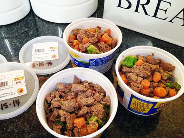 Homemade Dog Food | Recipe and Instructions