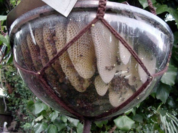 10 Bee-utiful Beehive DIY Projects DIY Projects Craft Ideas & How Toâ€™s
