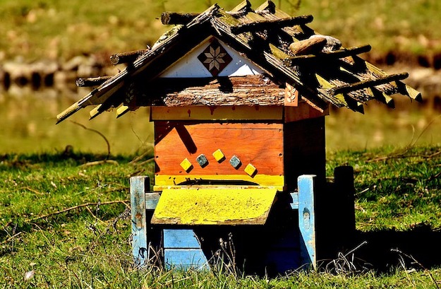 Beehive DIY Projects