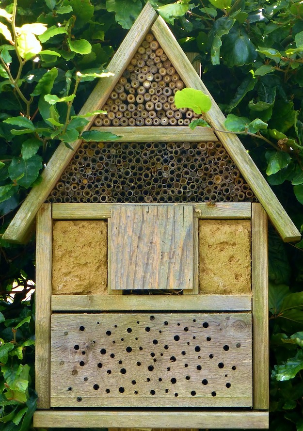 Beehive DIY Projects