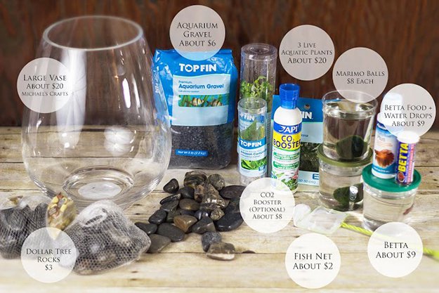 DIY Projects How To Make An Aquatic Table Centerpiece 
