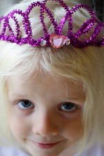 Pipe Crown Cleaner | Pipe Cleaner Crafts