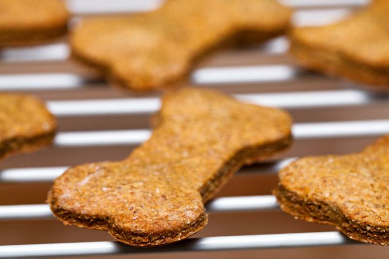 batch-fresh-homemade-dog-biscuits-hot | dog biscuit