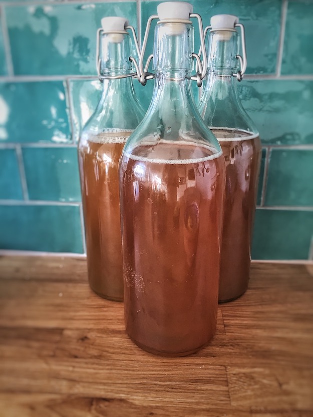 Check out Homemade Scoby for Kombucha at https://diyprojects.com/homemade-scoby-for-kombucha-tea/