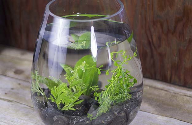 DIY Projects | How To Make An Aquatic Table Centerpiece