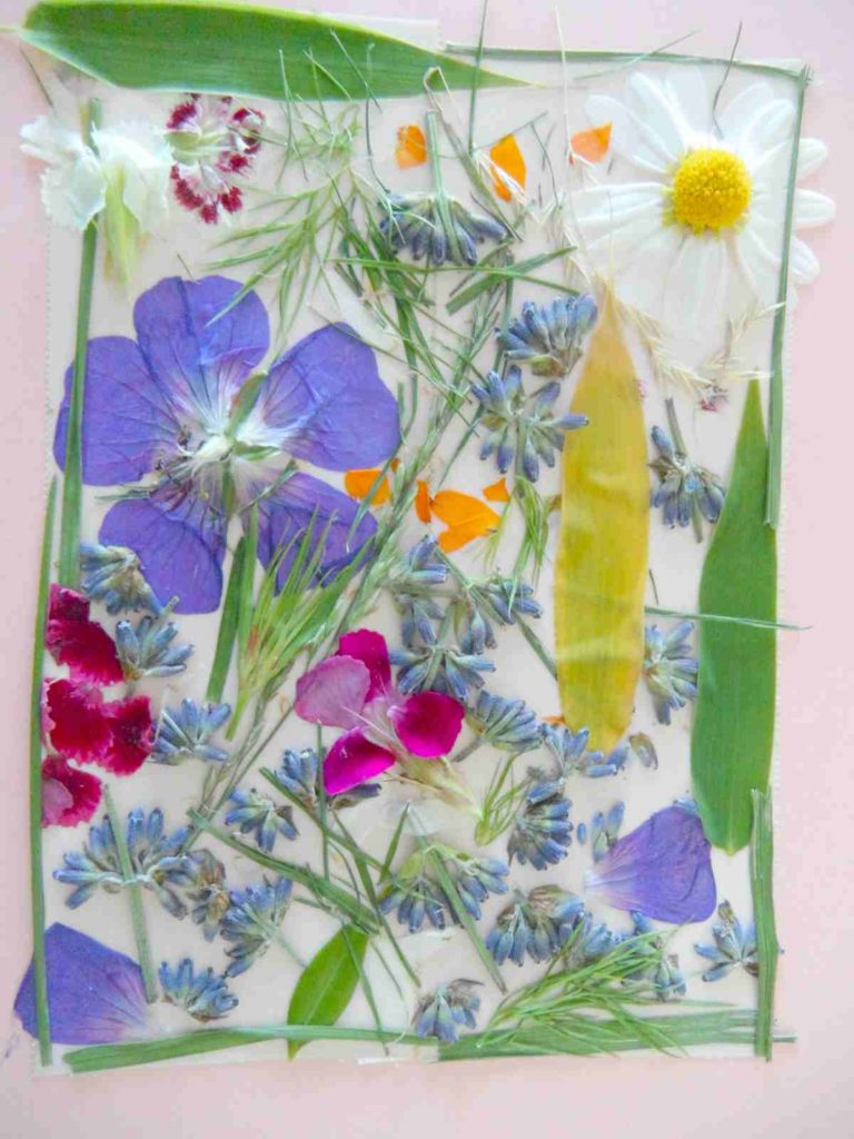 How To Press Flowers For Your Arts And Crafts Projects