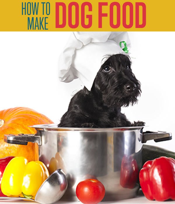 Homemade-Dog-Food-recipes-how-to-make-dog-food