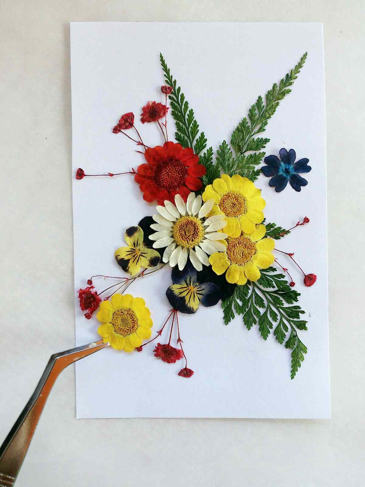 pressed colorful dry flowers | How To Press Flowers For Your Arts And Crafts Projects | how to press flowers | diy flower press