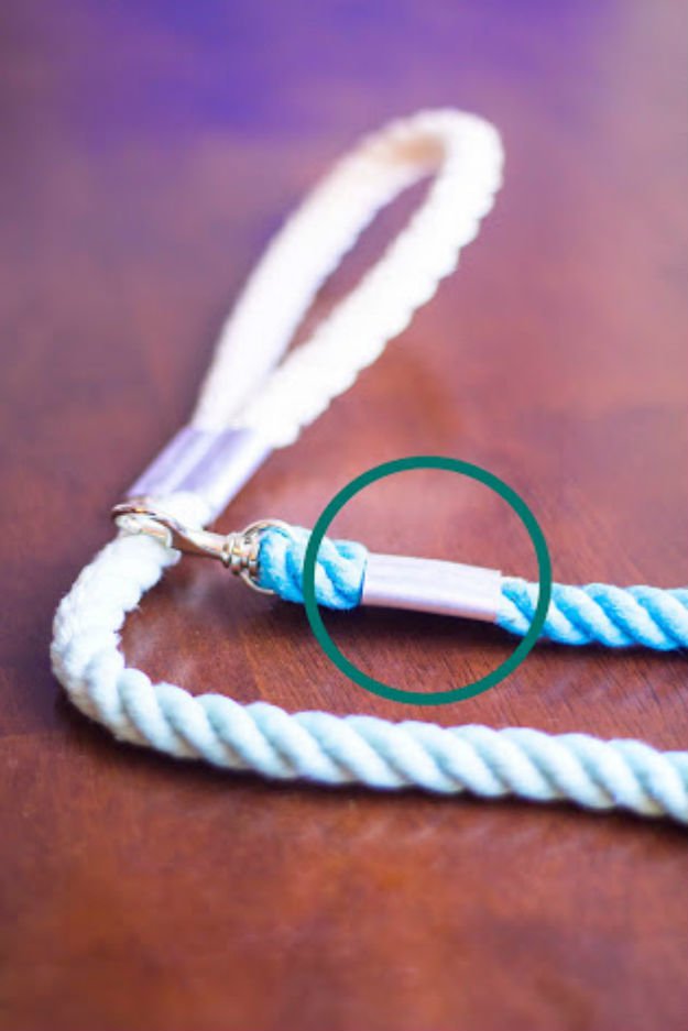 Ombre Rope Dog Leash Diy Projects Craft