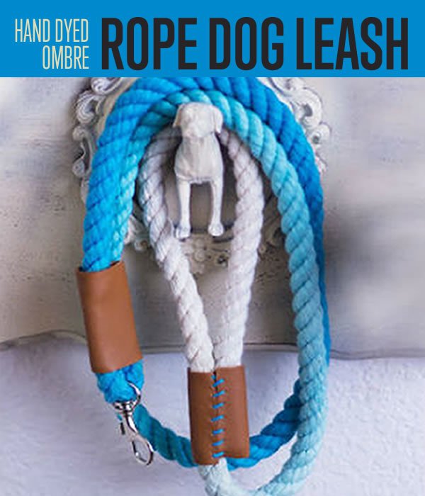 Ombre Rope Dog Leash | DIY Pet Projects