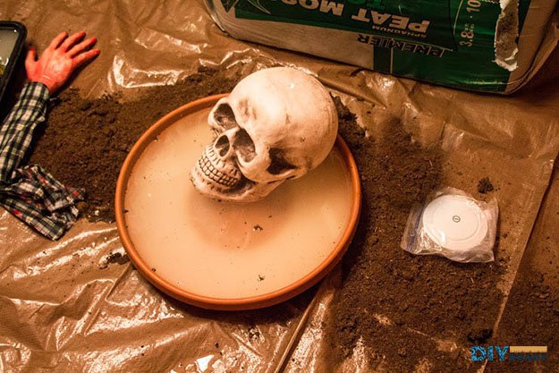 Set up the skull | Halloween Decorations And Projects | DIY Indoor Marsh