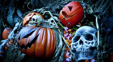 Halloween decorations | Halloween Decorations And Projects | DIY Indoor Marsh | Featured