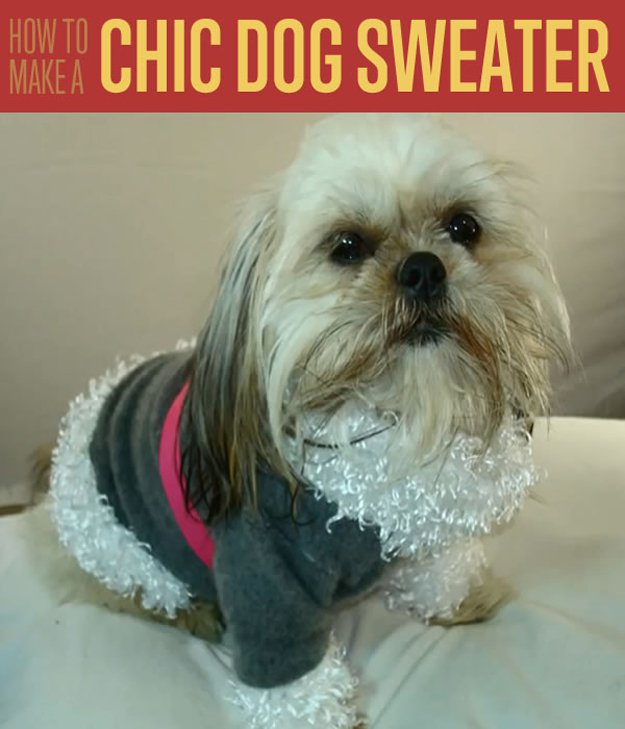 how-to-make-a-dog-sweater-diy-projects-craft-ideas-how-to-s-for-home