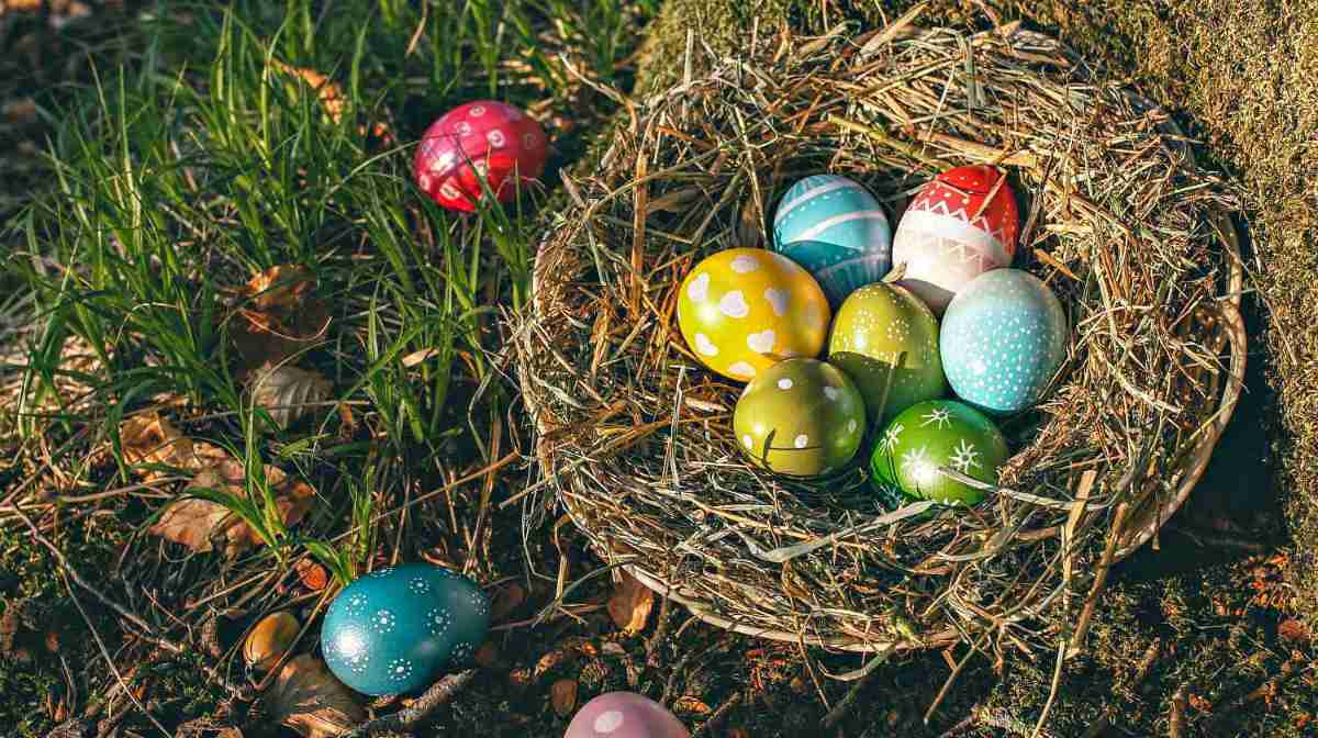 Easter eggs on a nest | Easter Crafts, Recipes, And Cool DIY Ideas For Your Celebration