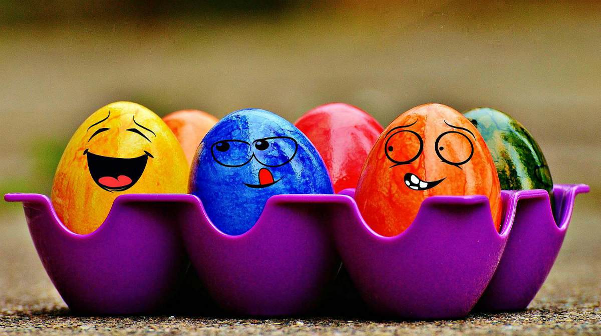 Colorful eggs in a tray | Easter Crafts, Recipes, And Cool DIY Ideas For Your Celebration