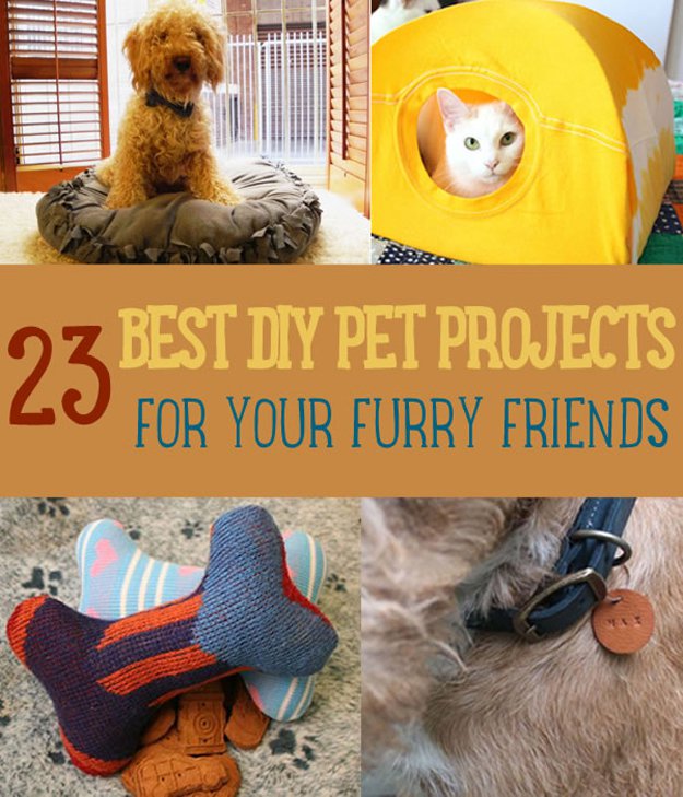 Awesome DIY Pet Projects To Keep Your Furry Friends Happy | https://diyprojects.com/diy-pet-projects/