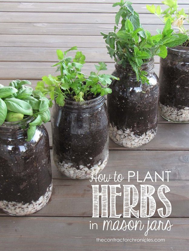 plant herbs in mason jars - great for indoor windowsill gardening | 26 DIY Mason Jar Crafts You Can Make In Under an Hour at http://DIY Projects/com/mason-jar-crafts-in-under-an-hour