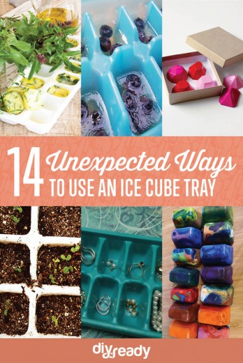 14 Unexpected Ways to Use an Ice Cube Tray |
