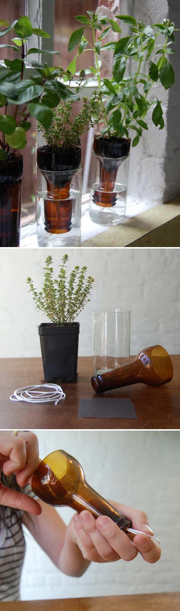 Bottle Garden | 24 Creative Uses for Beer Bottles 