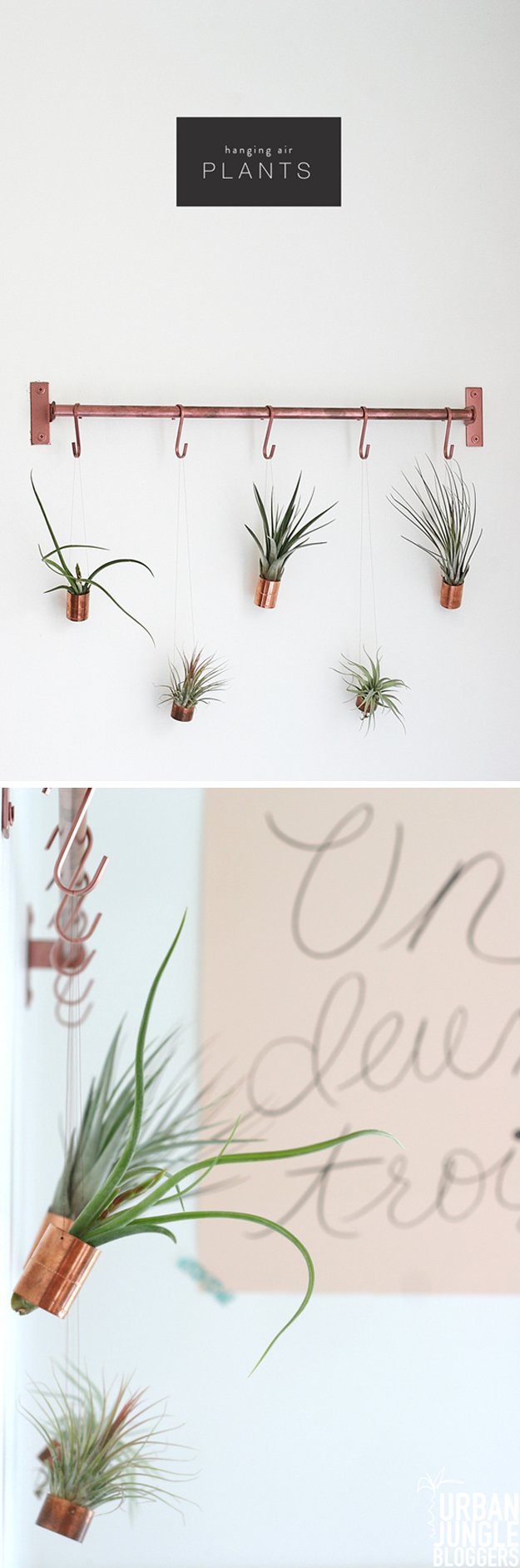 Hanging Air Plants | Bathroom Decorating Ideas on a Budget