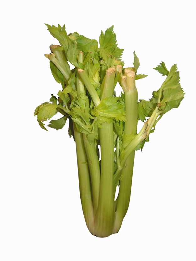 Bottom of Celery Stalk | Things to Never Throw Away 