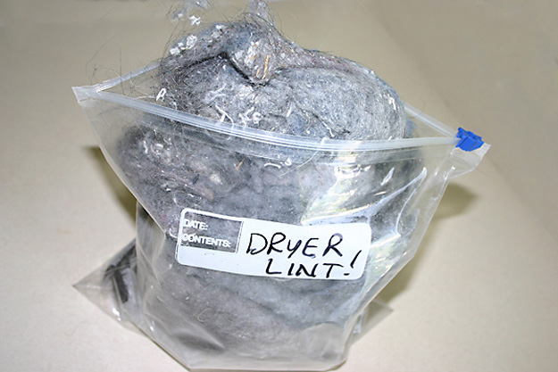 Dryer Lint | Things to Never Throw Away 