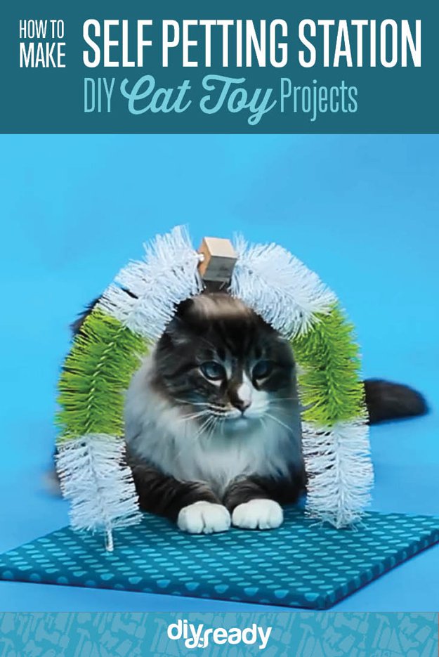 DIY Cat Toy Self Petting Station| https://diyprojects.com/diy-cat-toy-self-petting-station/