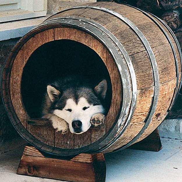 oak barrel dog house | Diy Dog House for Man's Best Friend | 10 Man Cave Ideas For Real Men https://diyprojects.com/man-cave-ideas-for-real-men/