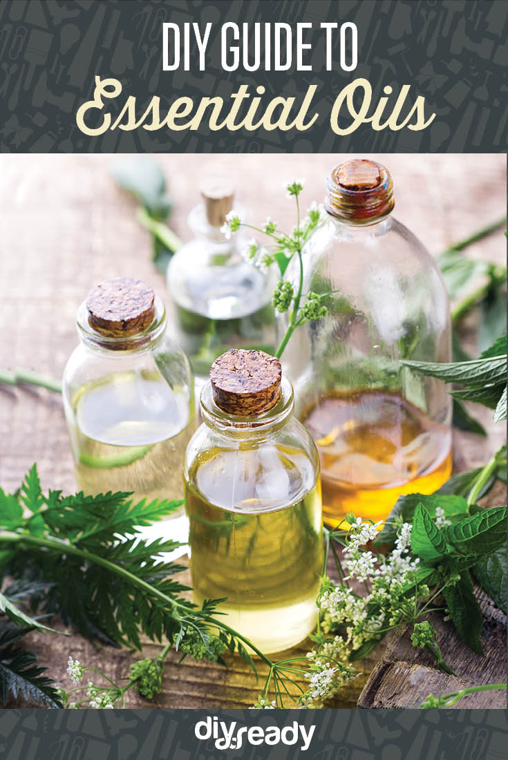 guide to essential oils
