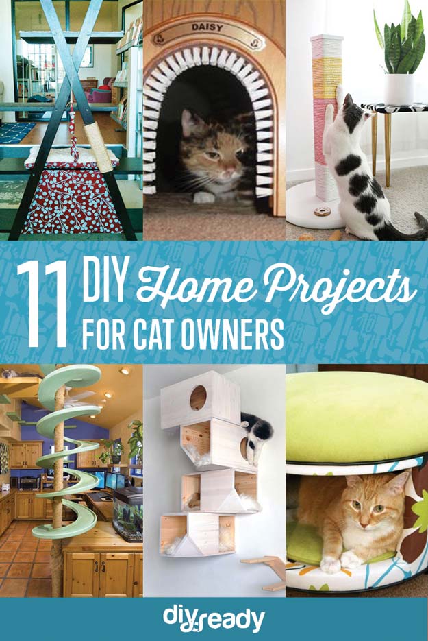 Creative Cat DIY Home Projects for Cat Lovers | https://diyprojects.com/11-creative-diy-home-projects-for-cat-owners/