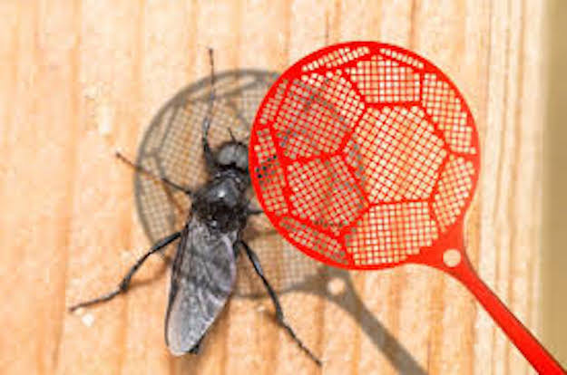 Check out 6 DIY Fruit Fly Trap Tutorials at https://diyprojects.com/diy-fruit-fly-trap-tutorials/