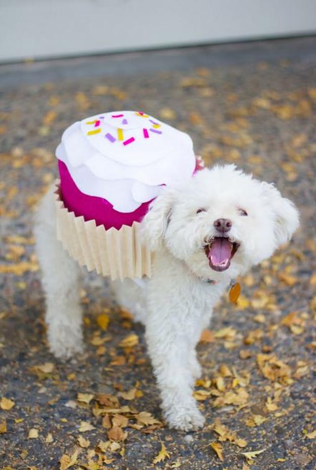 diy-dog-costume-ideas-diy-projects-craft-ideas-how-to-s-for-home