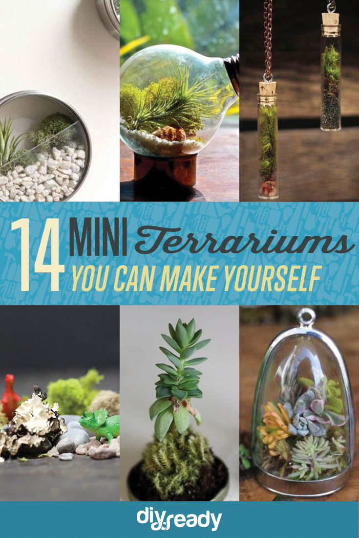  14 DIY Plant Terrarium Ideas | Mini Terrariums You Can Make Yourself see more at https://diyprojects.com/14-diy-plant-terrarium-ideas-mini-terrariums-you-can-make-yourself