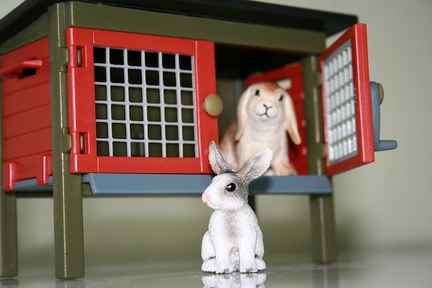 Rabbit Hutch Ideas Diy Projects Craft, Upcycled Dresser Bunny Hutch