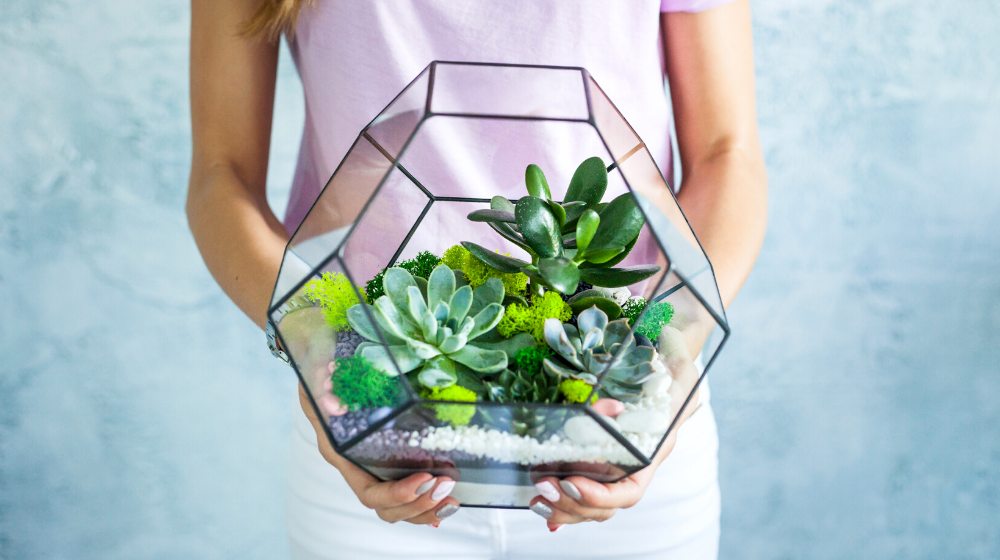 florarium composition succulents stone sand glass | DIY Projects to Make A Succulent Terrarium | featured