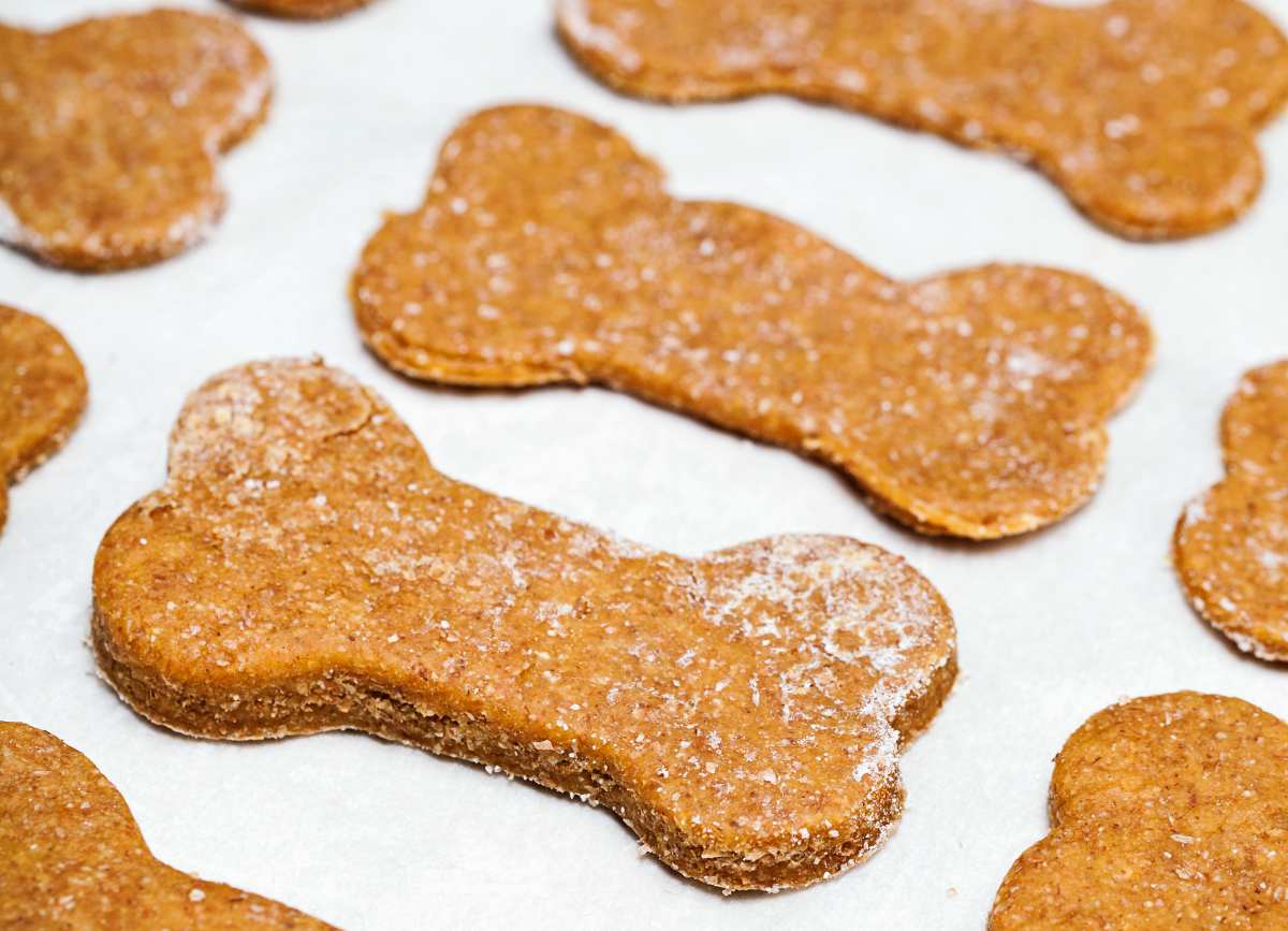 Homemade bone-shaped dog biscuits on parchment paper | Homemade Dog Biscuits Recipe | How To Make Doggie Treats