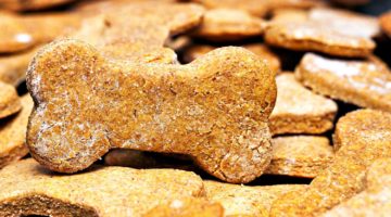 Feature | Large batch of bone-shaped homemade dog cookies | Homemade Dog Biscuits Recipe | How To Make Doggie Treats