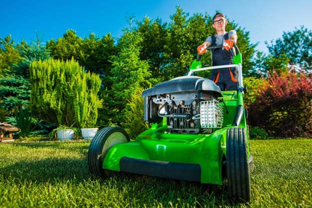 Caring for Your Grass | Lawn and Garden Tips 