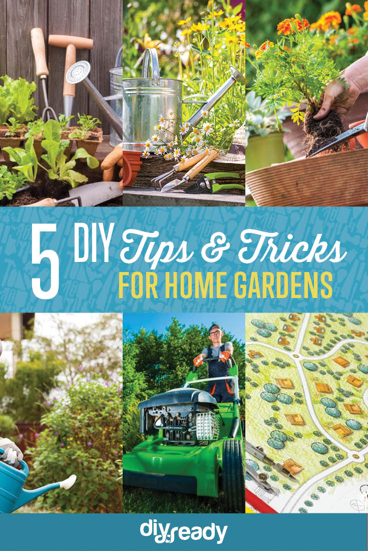 5 Lawn and Garden Tips for First-Time Homeowners