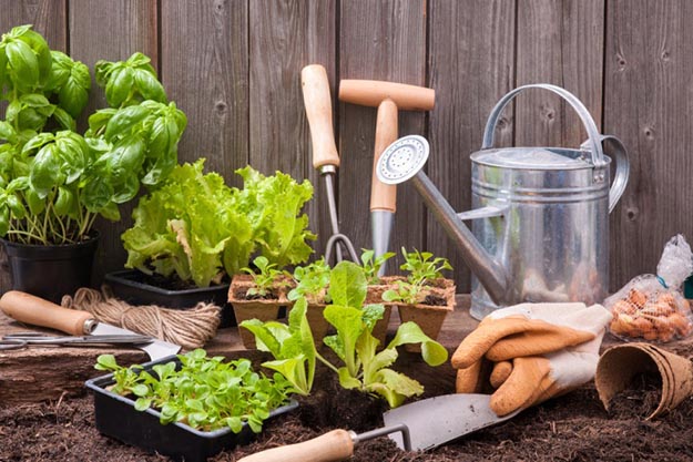 Tools | Lawn and Garden Tips 