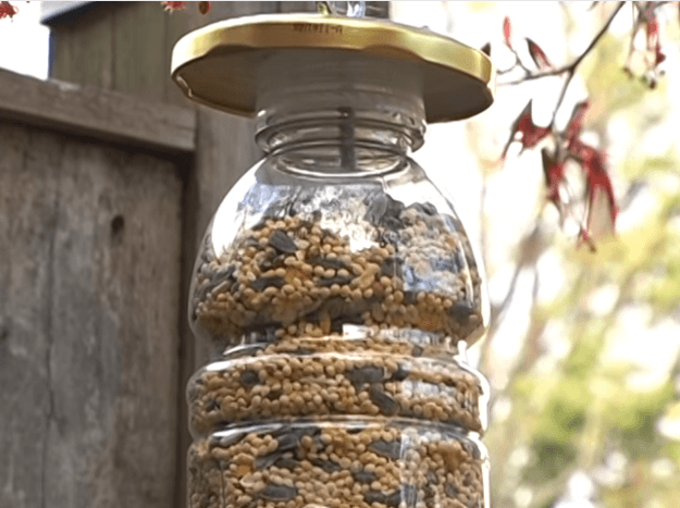 How to Build a Homemade Bird Feeder DIY Projects Craft 