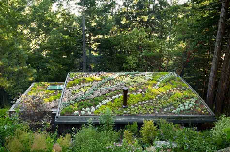 factors-to-consider-before-installing-a-green-roof-diy-projects-craft