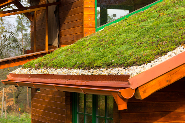Check out Things To Do Before Installing A Green Roof at https://diyprojects.com/green-roof/